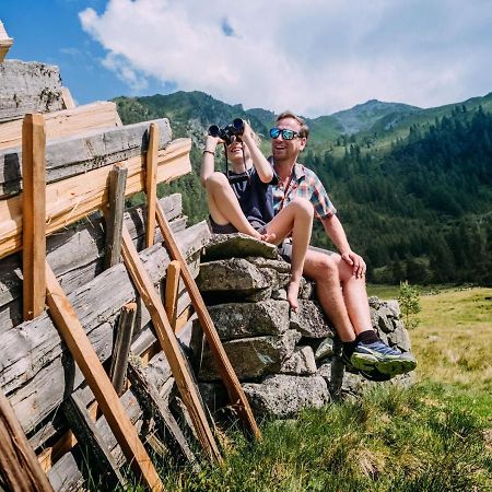 Chalet Freiblick Kleinhaid, Hollersbach 홀레르스바흐 임 핀츠가우 외부 사진