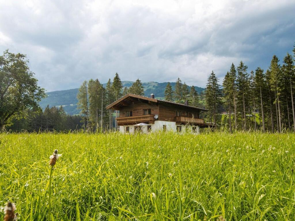 Chalet Freiblick Kleinhaid, Hollersbach 홀레르스바흐 임 핀츠가우 외부 사진