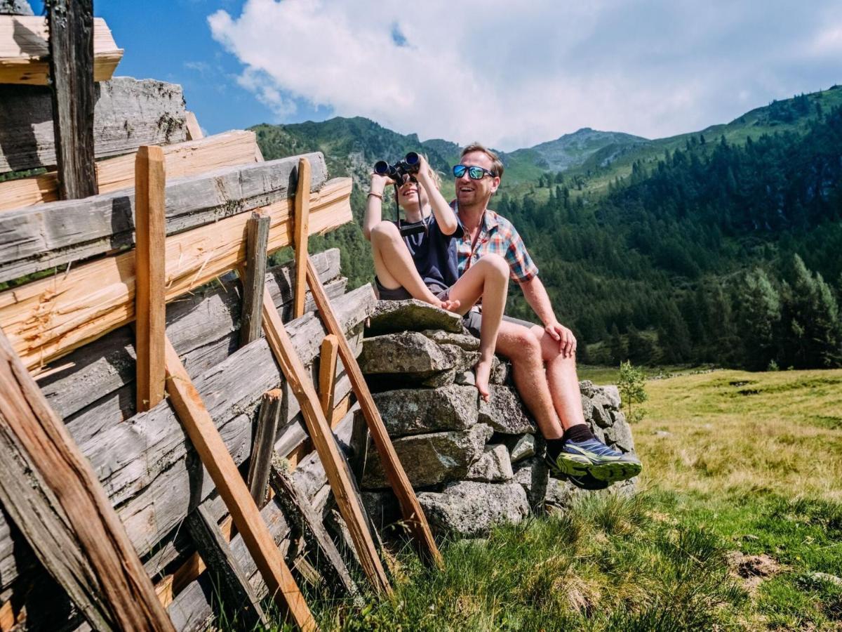 Chalet Freiblick Kleinhaid, Hollersbach 홀레르스바흐 임 핀츠가우 외부 사진