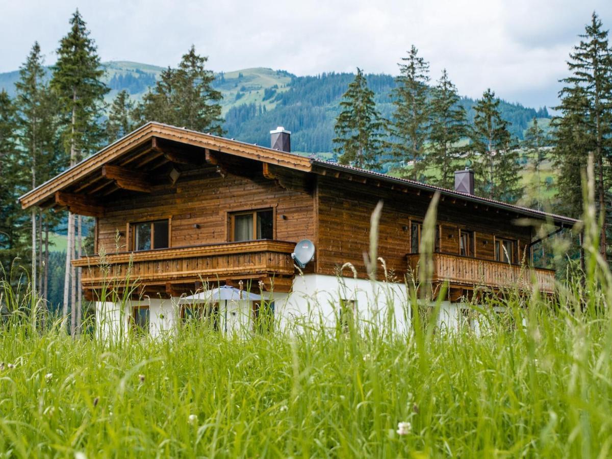Chalet Freiblick Kleinhaid, Hollersbach 홀레르스바흐 임 핀츠가우 외부 사진
