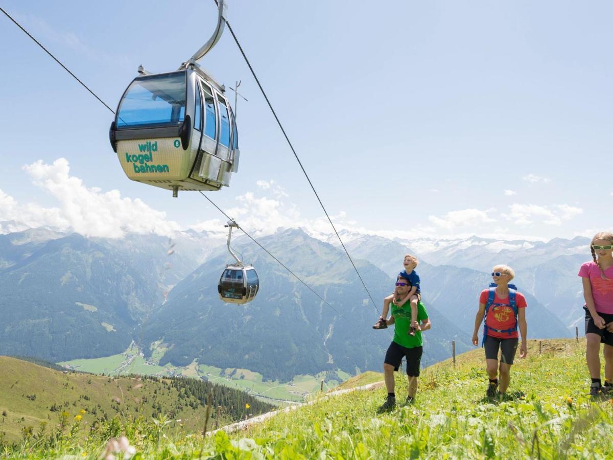 Chalet Freiblick Kleinhaid, Hollersbach 홀레르스바흐 임 핀츠가우 외부 사진