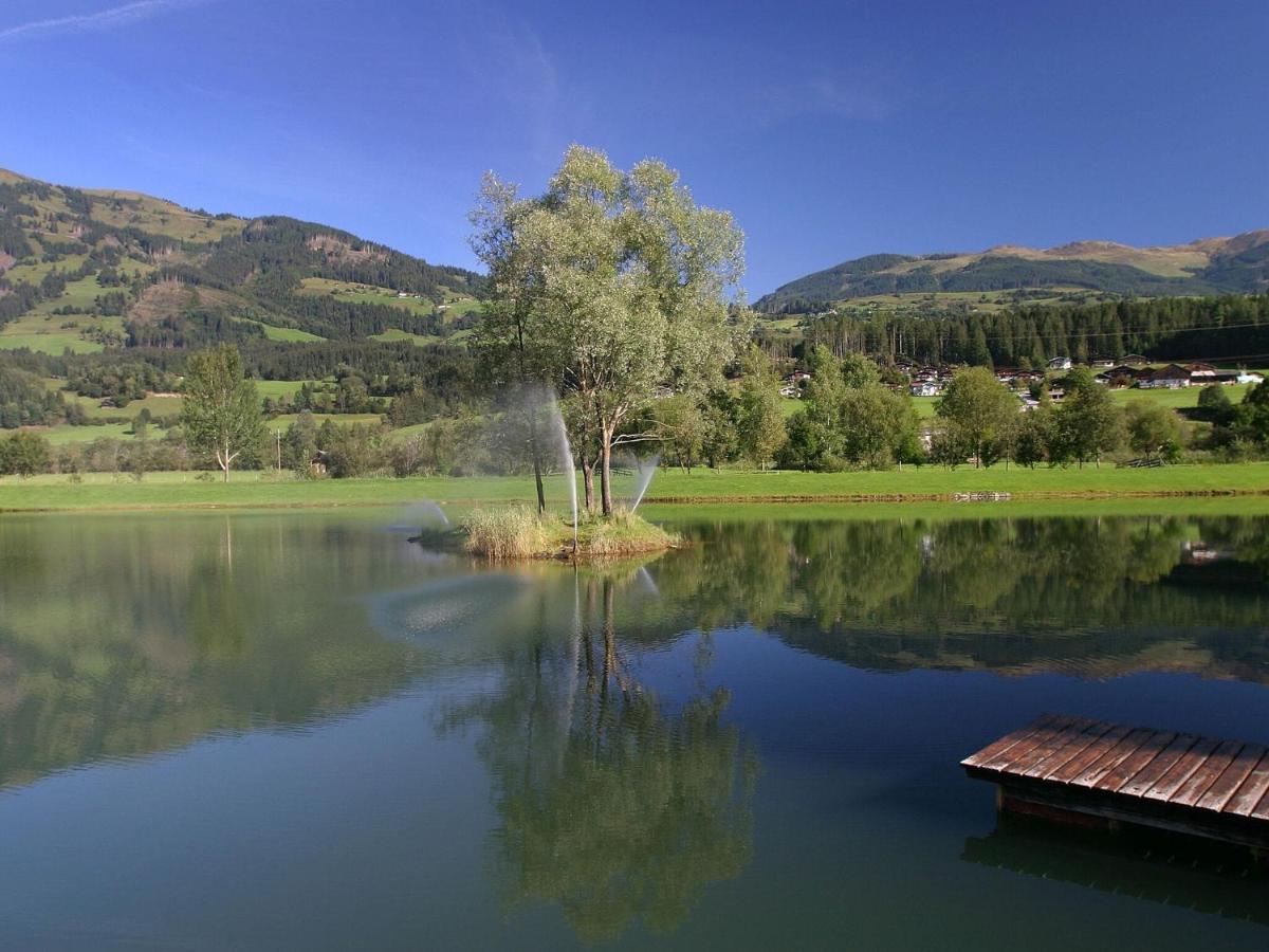 Chalet Freiblick Kleinhaid, Hollersbach 홀레르스바흐 임 핀츠가우 외부 사진